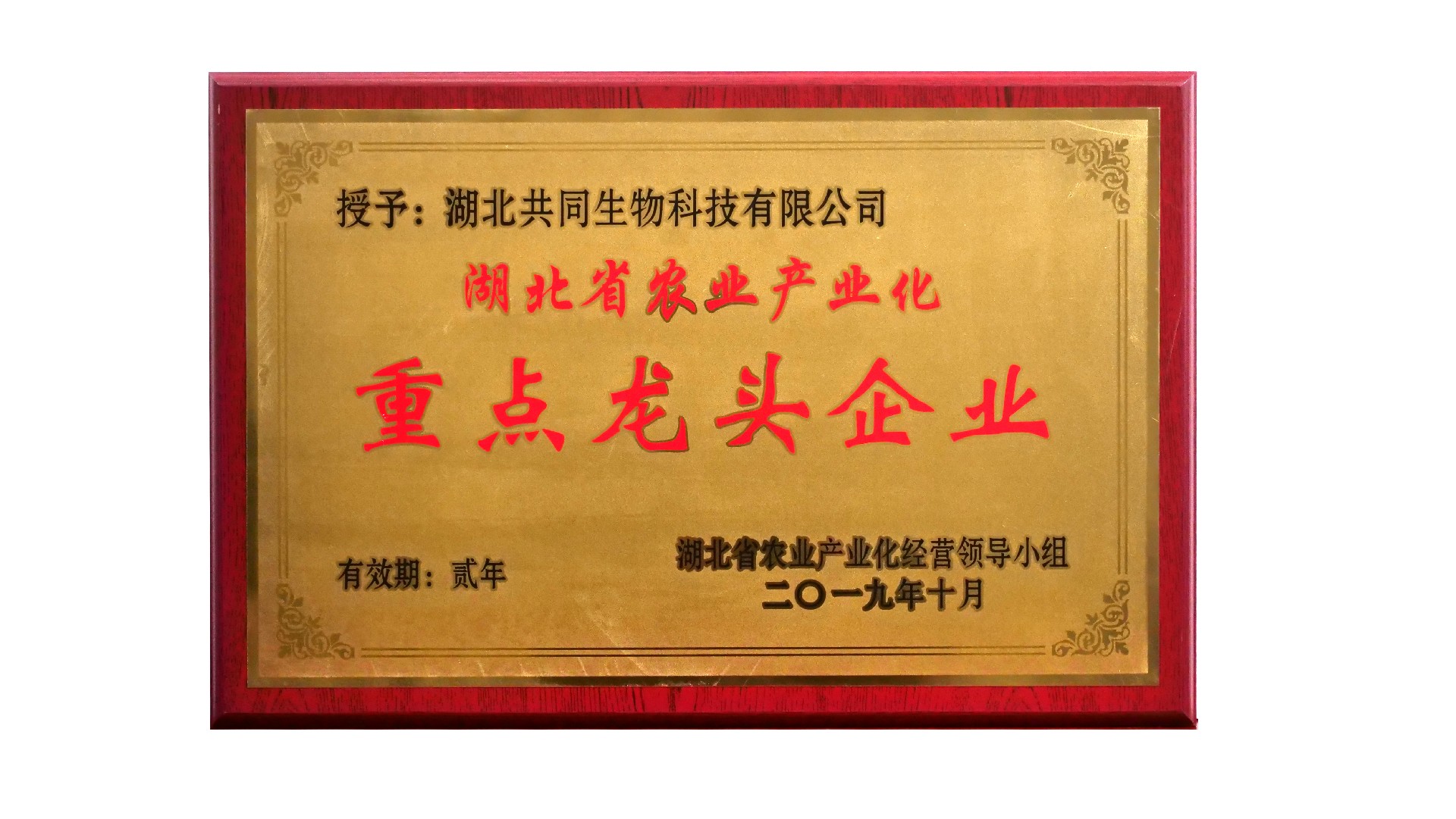 （生物）湖北省農(nóng)業(yè)產(chǎn)業(yè)化重點龍頭企業(yè)201910.jpg